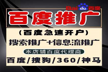 竞价代运营成功案例：快速占领市场